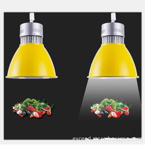 20w Led Fresh Light